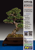 Plakat BONSAI kamcio 2012