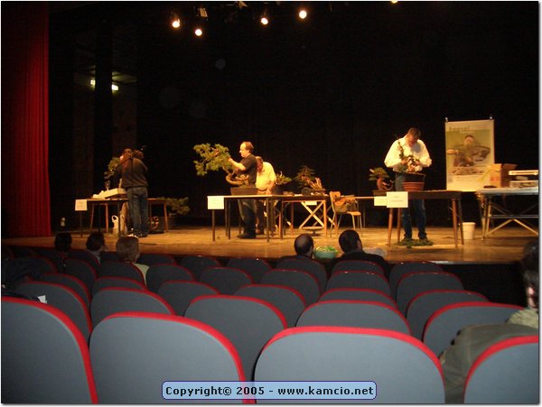 CIMG1344.JPG