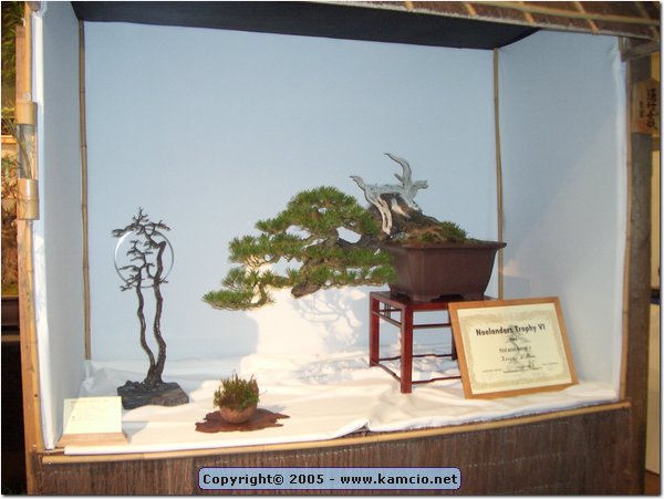 CIMG1354.JPG