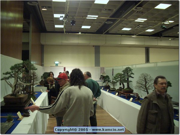 CIMG1378.JPG