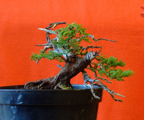 po formowaniu wstĂŞpnym