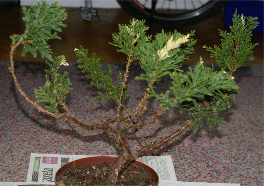 Materialik juÂż u mnie w domu po dostawie