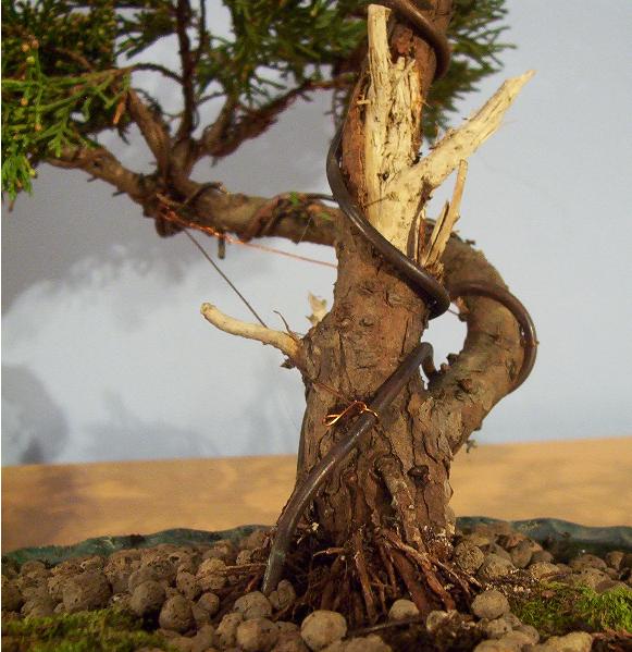 Z bliska jiny i nabari