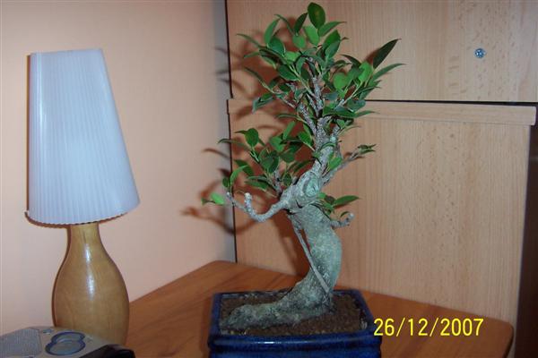 czy ta strona to przod?