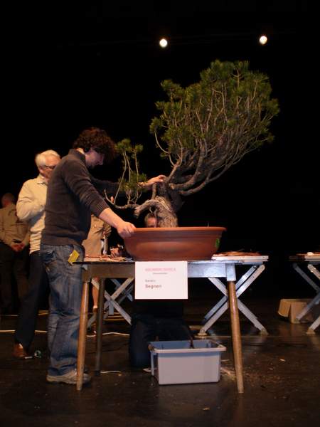 Sandro Segneri (WÂłochy)