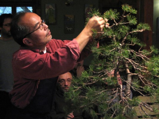 Nobu na Bonsai Juku w Polsce