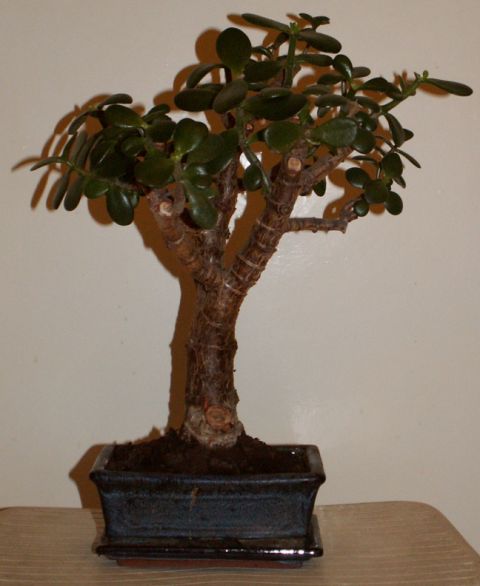 PICT0066.jpg