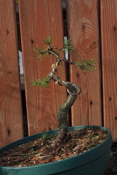 efekt po formowaniu. Do wykończenia został jin.