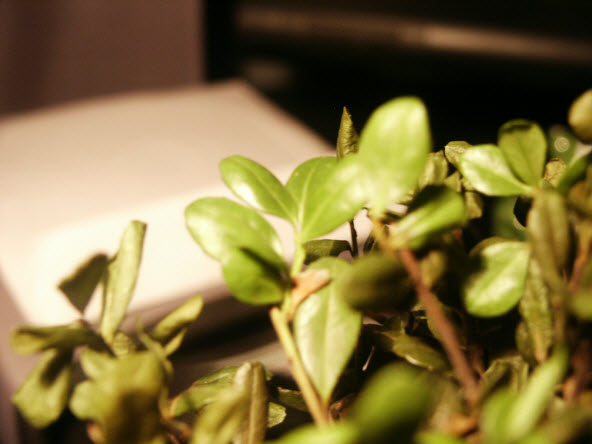 PICT0163.JPG