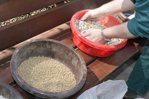 Mieszanki glebowe Juku 2009_1 kwie 03.JPG