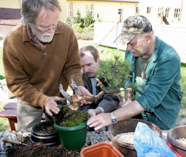 Mugo Tadka 2009_1 kwie 13.JPG