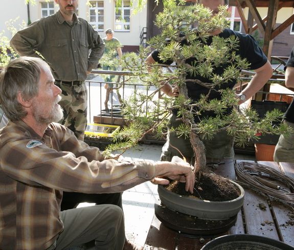 Pinus silvestris Mirka Juku 2009_1 kwie 19.JPG