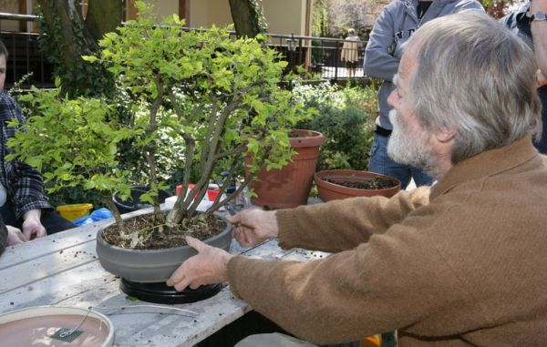 Trzmielina zagajnik Mirka Juku 2009_1 kwie 05.JPG