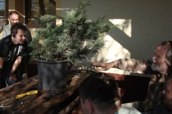 Juniperus Mariusza Juku 2009_1 kwie 01.Jpg