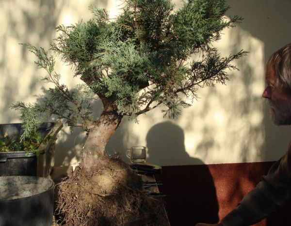 Juniperus Mariusza Juku 2009_1 kwie 02.Jpg