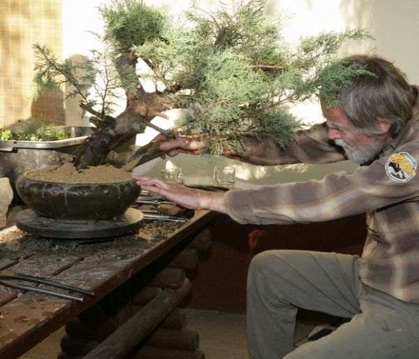Juniperus Mariusza Juku 2009_1 kwie 04.Jpg