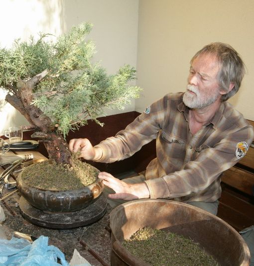 Juniperus Mariusza Juku 2009_1 kwie 09.Jpg