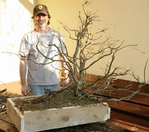 Deby Tratwa yamadori Kornela Juku 2009_1 kwie 25.JPG