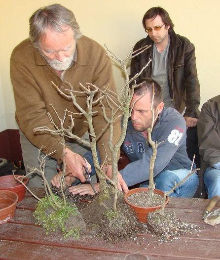 Zagajnik Ginko Biloba Jacka 2009_1 kwie 10.JPG