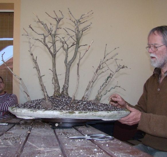 Zagajnik Ginko Biloba Jacka 2009_1 kwie 20.JPG