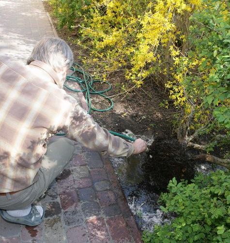 Graby Kepa yamadori Kornela Juku 2009_1 kwie 03.Jpg