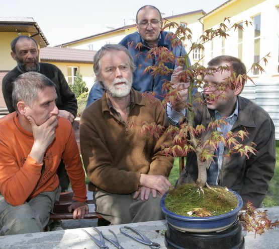 Acer palmatum Pita Juku 2009_1 kwie 02.JPG