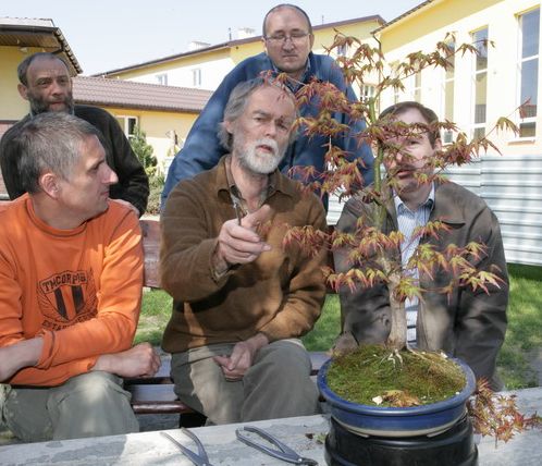 Acer palmatum Pita Juku 2009_1 kwie 04.JPG