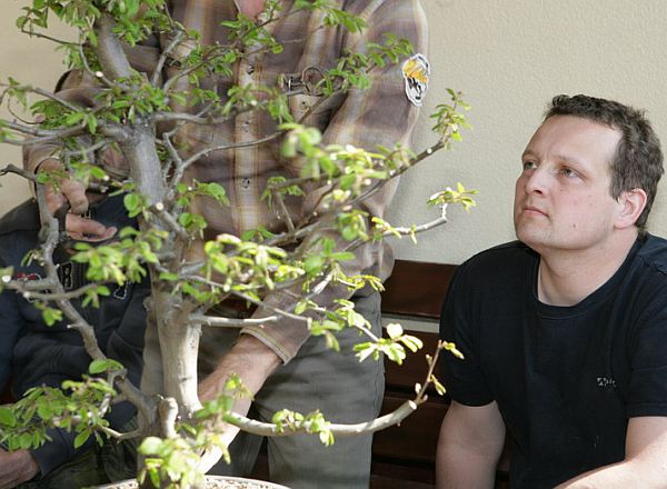 Carpinus Piotrka Juku 2009_1 kwie 09.Jpg