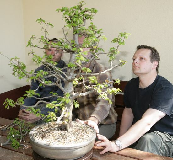 Carpinus Piotrka Juku 2009_1 kwie 10.Jpg