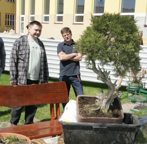 Juniperus Darka 2009_1 kwie 18.JPG