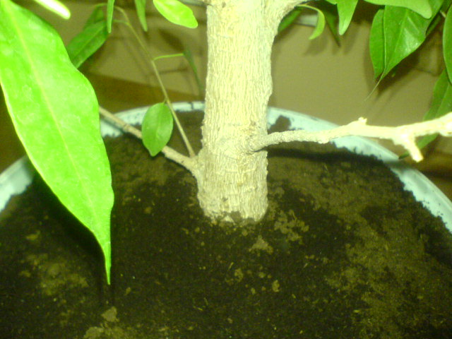 DSC01025.JPG