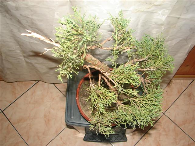 natura 078 (Small).jpg