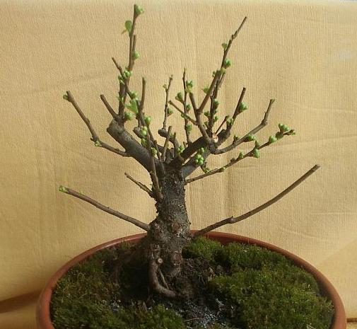 Po wniesieniu do mieszkania