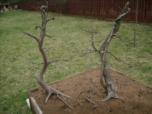 07.04.2010 8x6.jpg