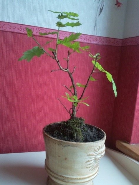 2010-05-20 11.51.16_800px_800px_630px.jpg