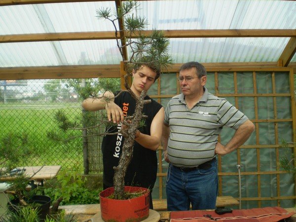 MArcin i jego sosenka - Mistrz wysłuchuje koncepcji