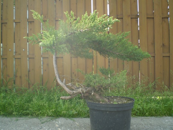 musiałem coś wyczaić