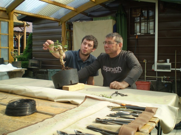 Mistrz słucha - uczeń opowiada , czemu właśnie tak