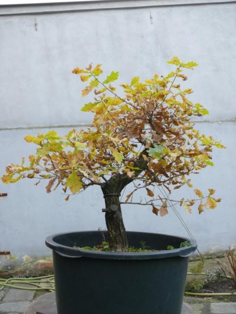 P1080411 [640x480].JPG