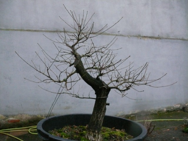 P1080493 [640x480].JPG