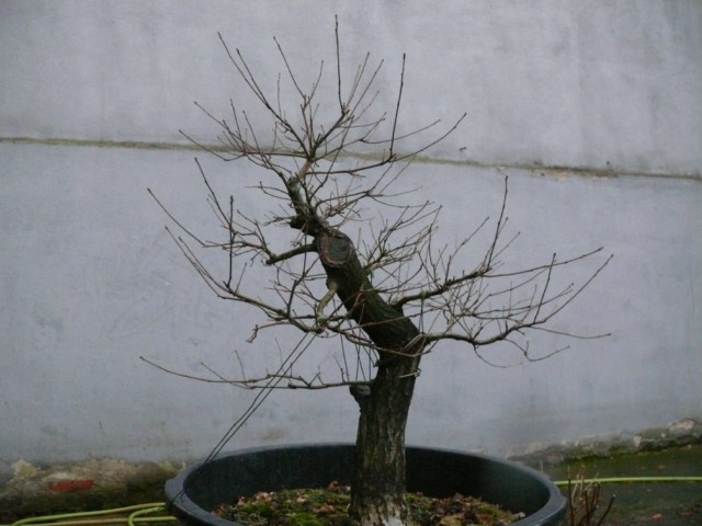 P1080497 [640x480].JPG