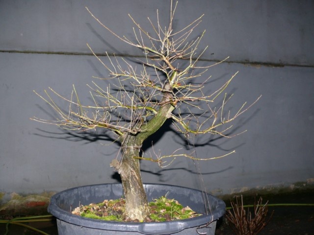 P1080504 [640x480].JPG