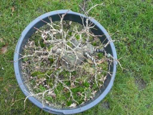 P1080795 [640x480] [].JPG