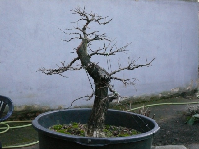 P1080804 [640x480].JPG