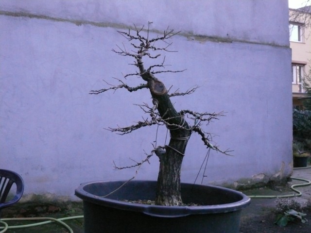 P1080813 [640x480].JPG