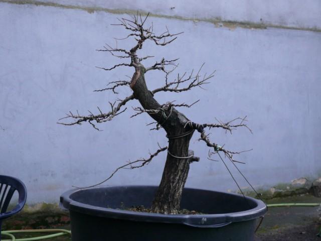 P1080801 [640x480]a.JPG