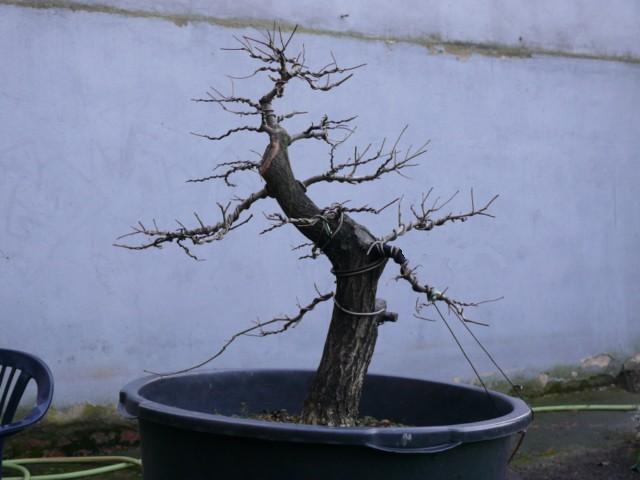 P1080801 [640x480]b.JPG