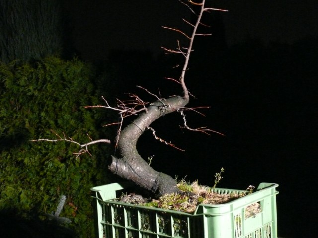 P1080530 [640x480].JPG