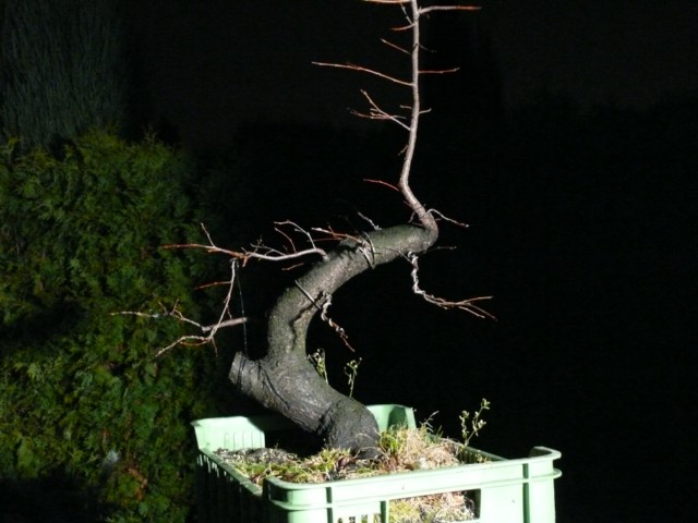 P1080532 [640x480].JPG