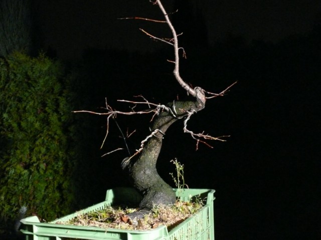 P1080534 [640x480].JPG